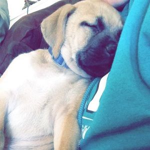 Meet your Posher, Alex